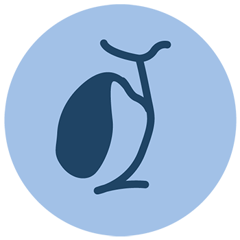 Doença da vesícula biliar