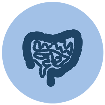 Câncer de Cólon (Intestino)